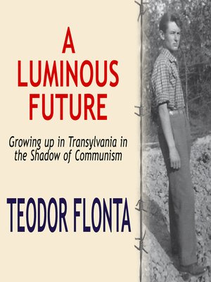 cover image of A Luminous Future